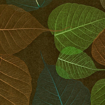 Dynasty Naturals