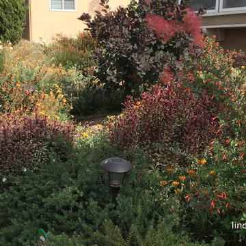BULLOCK GARDEN