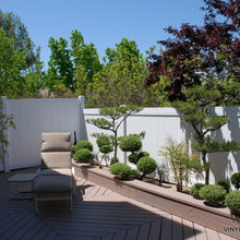 Front yard Fence