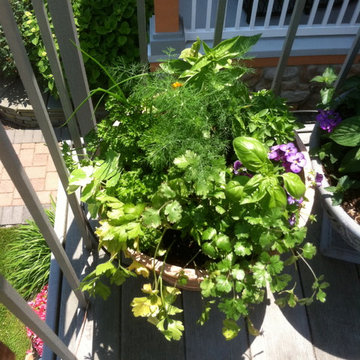 Vegetable & Herb Gardens