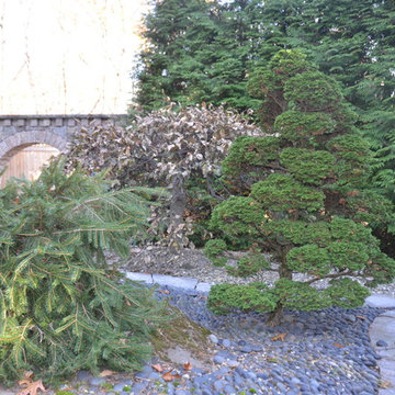 Asian Garden