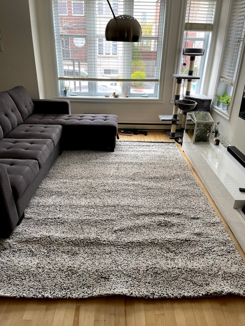 Rug for a grey/white living room