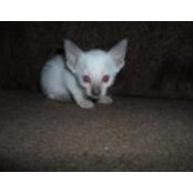 Tammy Dorsey Berthaut's photo
