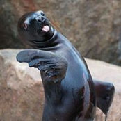 Amy Summers's photo