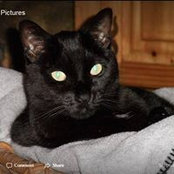 Lloyd Roland's photo