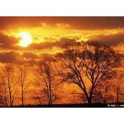 Kiran Kumar's photo