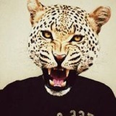 apoon's