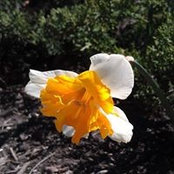 Emily Burt's photo
