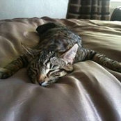Derek Maberly's photo
