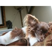 Sara Elich's photo