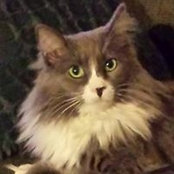 Beth Eddings's photo