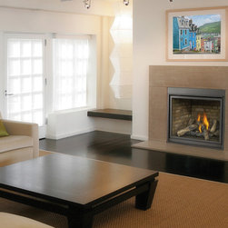 Napoleon HDX40 Series 41'' x 41'' DV Gas Fireplace System - Indoor Fireplaces