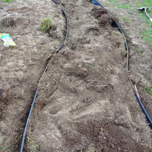 raised bed and area