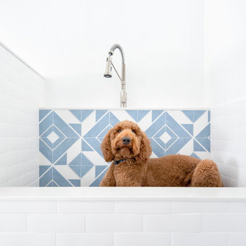 Contempo Casa Dog Bath