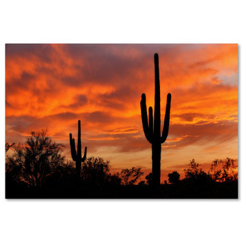 Mike Jones Photo 'Saguaros Amazing Sunset 5' Canvas Art, 22x32