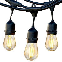 Brightech Ambience Pro LED 2W Waterproof Outdoor String Lights - 48 ft, Warm Whi