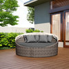 Wink Canopy Daybed, Canvas Charcoal