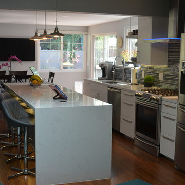 Modern Kitchen Remodel