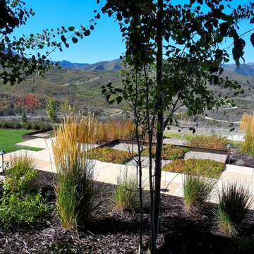 Mountain Modern