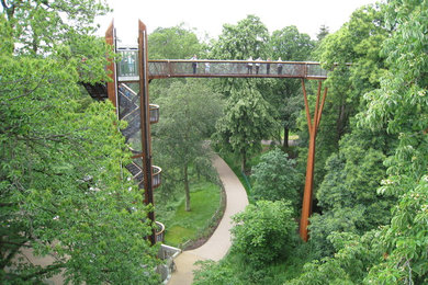 Kew Gardens : tree top  passerelle des cimes     Londres
