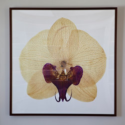 Guest House - Artwork