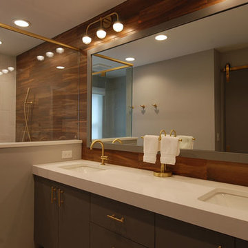 Northbrook Master Bath Renovation