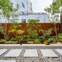 Landscaping ideas