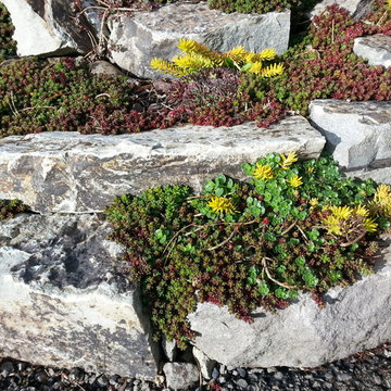GARDEN ART: PERGOLA & XERIPAVE PERVIOUS PAVER "COBBLE STONE" RAIN GARDEN CREEK