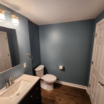 Jordan & Beth, NE Grand Rapids, Master Bathroom & Basement Remodel