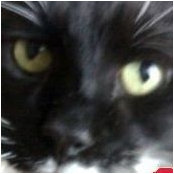 Foto von Vonny Warrington