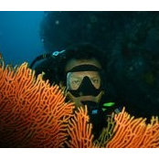 Daniele Cerri's photo
