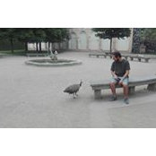 Andrea Macko's photo