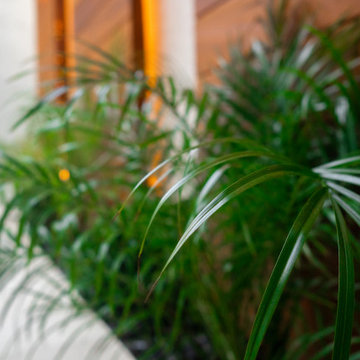 Black Pebble Courtyard