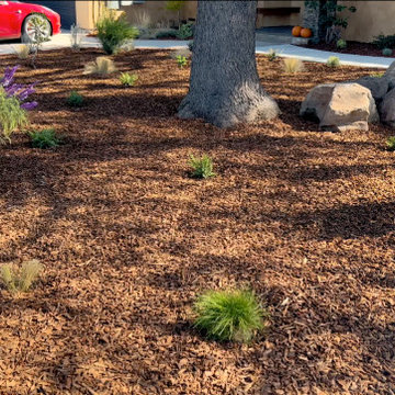 Neighbors Combine Front Yards (Bocce Ball Court and Low-Maintenance Landscape)