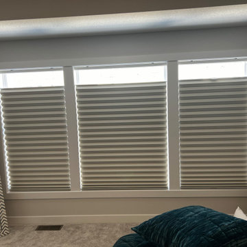Top-Down Bottom-Up, Blackout, Cellular Shades
