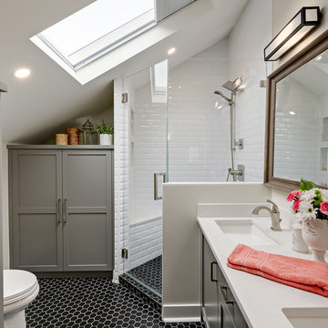 A skylight above, bright life below
