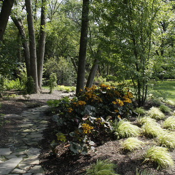 Full Landscape with Patio, Outdoor Kitchen, Stone Driveway and Planting