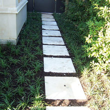 Landscape ideas
