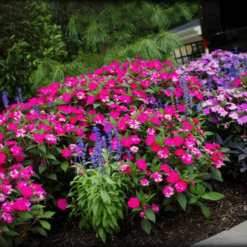 Landscaping Highlights
