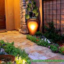 garden lighting/focal points
