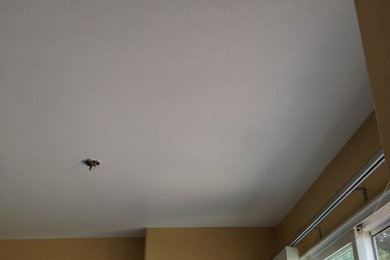 Drywall Repair Projects