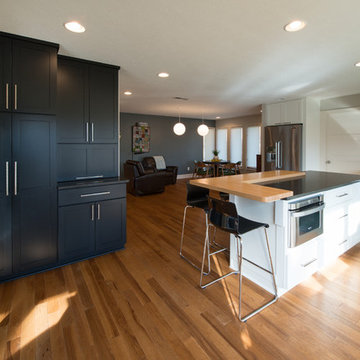 Noblesville, IN Updated Modern Kitchen
