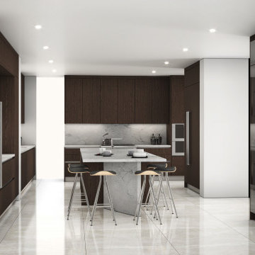 Modern Kitchen Remodel - Nahon Residence