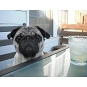 Danielle Gough's photo