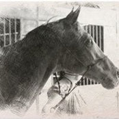 Michelle Morgan's photo