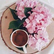 Basma Mohamed's photo