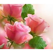 Lee Abney's photo
