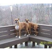 Luann Polizzi's photo