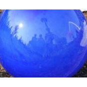 Mary Rothschiller Volz's photo