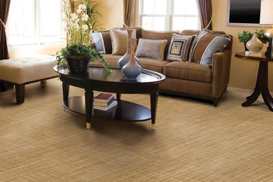 CARPET